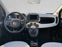 Gebraucht Fiat Panda 86 PS (63 kW) 2024 Beige Kleinwagen