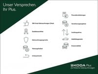 Gebraucht Skoda Karoq Selection 150 PS (110 kW) 2024 Grau SUV