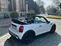 Gebraucht Mini Cooper Cabriolet Classic 136 PS (100 kW) 2024 Weiß Cabrio