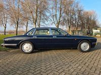Gebraucht Daimler Double Six Serie 1 306 PS (225 kW) 1994 Blau Limousine