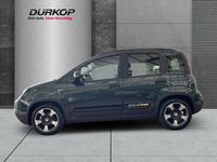 Neu Fiat Panda Cross Cross 69 PS (50 kW) 2026 Gruen Kleinwagen