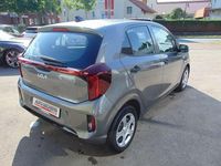 Neu Kia Picanto Edition 7 63 PS (46 kW) 2025 Astrograu met Kleinwagen