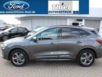 Neu Ford Kuga ST-Line X 186 PS (136 kW) 2025 Grau SUV