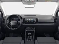Gebraucht Skoda Karoq Selection 150 PS (110 kW) 2025 Graphitegrau metallic SUV