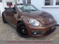 Gebraucht VW Beetle R-line 220 PS (161 kW) 2016 Braun Kleinwagen