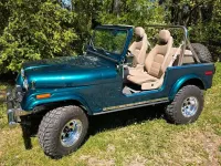 Gebraucht Jeep CJ 130 PS (95 kW) 1987 Grün Cabrio