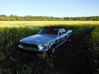 Gebraucht Ford Mustang 203 PS (149 kW) 1967 Blau Cabrio
