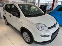Neu Fiat Panda 69 PS (50 kW) 2025 Weiß Kleinwagen