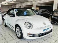 gebraucht VW Beetle Cabriolet Club BMT-Navi-PDC-Euro6