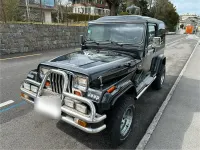 Gebraucht Jeep Wrangler 178 PS (130 kW) 1992 Schwarz SUV
