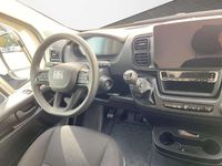 Neu Fiat Ducato 33 140 PS (102 kW) 2026 Weiß Van