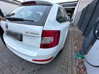 gebraucht Skoda Octavia 1.2 81KW 110 PS Benzin VIELE EXTRAS!!!