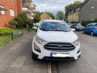Gebraucht Ford Ecosport 100 PS (73 kW) 2019 Weiß SUV