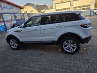 Gebraucht Land Rover Range Rover evoque Dynamic 140 PS (102 kW) 2013 Weiß SUV