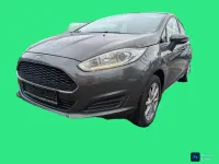 Gebraucht Ford Fiesta Trend 101 PS (74 kW) 2016 Grau Kleinwagen