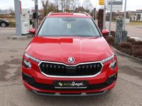 Gebraucht Skoda Kamiq Selection 116 PS (85 kW) 2025 Rot SUV