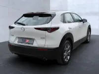 Gebraucht Mazda CX-30 Selection 122 PS (89 kW) 2023 Weiß SUV