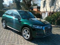 Gebraucht Audi Q5 Ambiente 190 PS (139 kW) 2018 Grün SUV