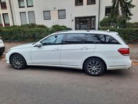 Gebraucht Mercedes E250 Avantgarde 204 PS (150 kW) 2014 Weiß Kombi