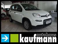 Gebraucht Fiat Panda 71 PS (52 kW) 2022 Colore esterno (weiss) Kleinwagen