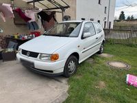 Gebraucht VW Polo 50 PS (36 kW) 1997 Weiß Kleinwagen