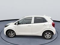 Gebraucht Kia Picanto Vision 67 PS (49 kW) 2024 Weiß Kleinwagen