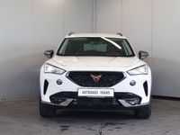 Gebraucht Cupra Formentor 150 PS (110 kW) 2023 Weiß SUV