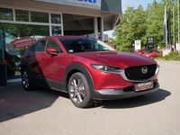 gebraucht Mazda CX-30 SKYACTIV-G 2.0 Selection M Hybrid ACC