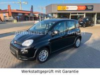 Gebraucht Fiat Panda 69 PS (50 kW) 2024 Schwarz Kleinwagen