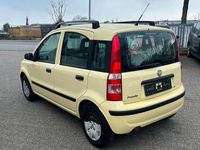 Gebraucht Fiat Panda Dynamic 60 PS (44 kW) 2009 Gelb Kleinwagen