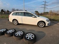 Gebraucht VW Golf VII Highline 150 PS (110 kW) 2017 Weiß Kombi