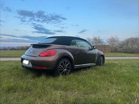Usata VW Beetle 105 CV (77 kW) 2013 Marrone Utilitaria