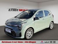 Neu Kia Picanto Vision 68 PS (50 kW) 2025 (a2g) adventurous green Kleinwagen