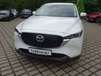 Gebraucht Mazda CX-5 Ad'Vantage 165 PS (121 kW) 2024 Rhodium white SUV