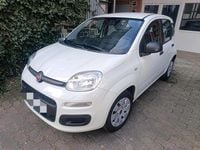 Gebraucht Fiat Panda 69 PS (50 kW) 2015 Weiß Kleinwagen