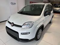 Neu Fiat Panda 69 PS (50 kW) 2025 Weiß Kleinwagen