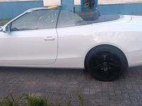 Gebraucht Audi A5 Cabriolet 224 PS (164 kW) 2014 Weiß Cabrio