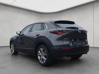 Gebraucht Mazda CX-30 Selection 179 PS (131 kW) 2020 Grau SUV