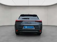 Gebraucht Lexus UX 250h Sport Design Packet 189 PS (139 kW) 2023 Grau SUV