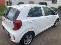 gebraucht Kia Picanto 1.0 Edition 7 Edition 7