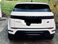 Gebraucht Land Rover Range Rover evoque SE Dynamic 204 PS (150 kW) 2023 Weiß SUV
