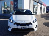 Gebraucht Kia Ceed Vision 140 PS (102 kW) 2024 Weiß Kleinwagen
