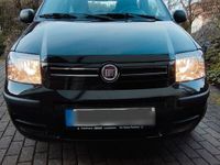 gebraucht Fiat Panda Dynamic, Metallic, Klima, Dachreling