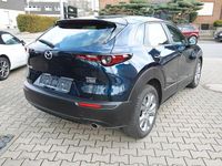 Gebraucht Mazda CX-30 Exclusive 122 PS (89 kW) 2023 Blau SUV