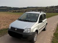 Gebraucht Fiat Panda 4x4 60 PS (44 kW) 2009 Silber Kleinwagen