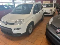 Gebraucht Fiat Panda 69 PS (50 kW) 2022 Weiß Kleinwagen
