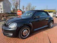 Gebraucht VW Beetle Cabriolet Design 105 PS (77 kW) 2014 Schwarz Cabrio
