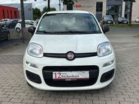 Gebraucht Fiat Panda Easy 69 PS (50 kW) 2020 Kleinwagen