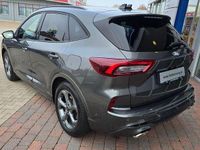 Gebraucht Ford Kuga ST-Line X 186 PS (136 kW) 2025 Grau SUV