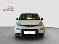 Gebraucht Fiat Panda Tech 69 PS (50 kW) 2023 Weiß Kleinwagen